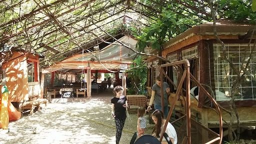Yorum fotoğrafı 8