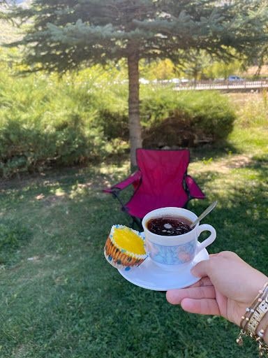 Yorum fotoğrafı 8