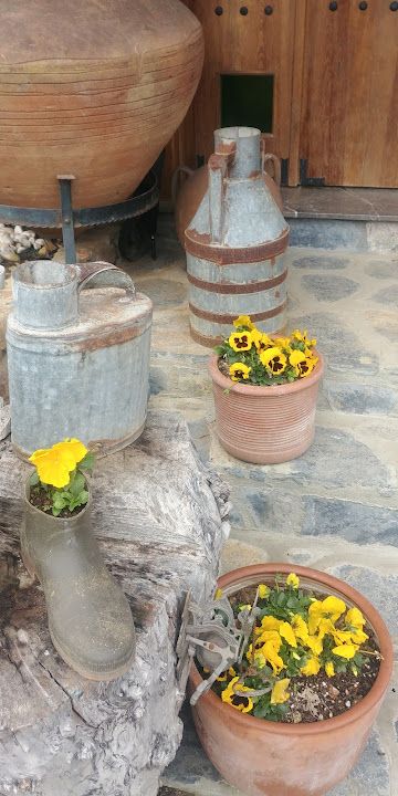 Fotoğraf 51