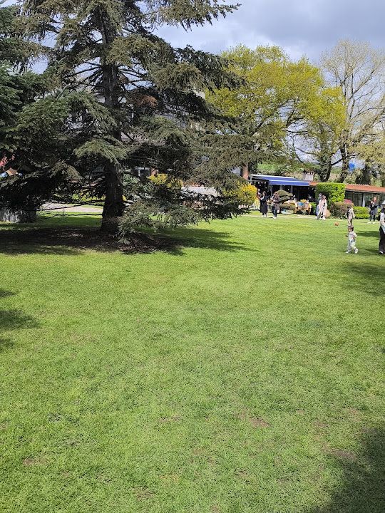 Fotoğraf 35