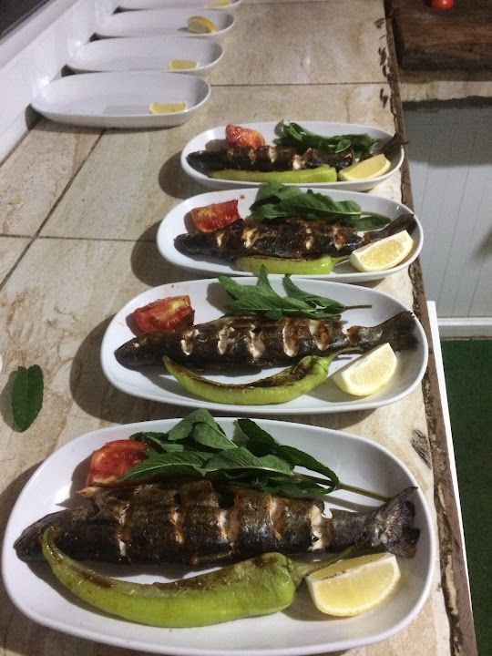 Fotoğraf 25