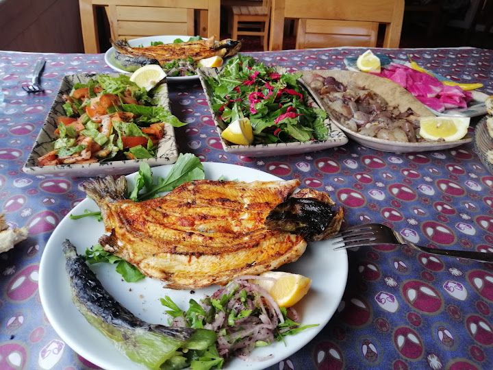 Fotoğraf 12