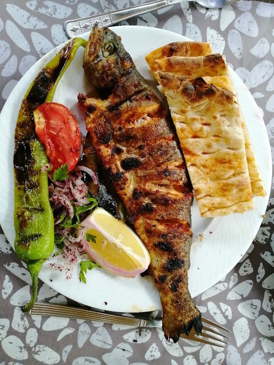 Fotoğraf 14