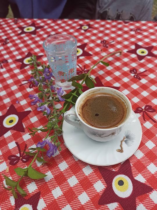 Fotoğraf 49