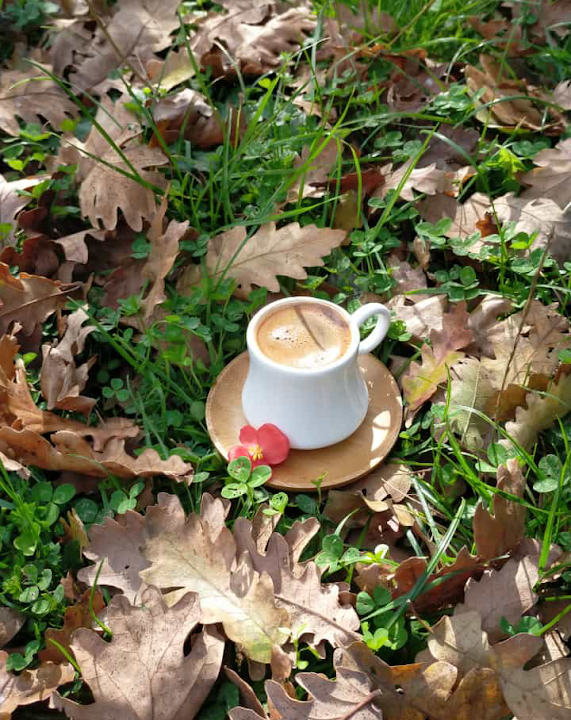 Fotoğraf 50