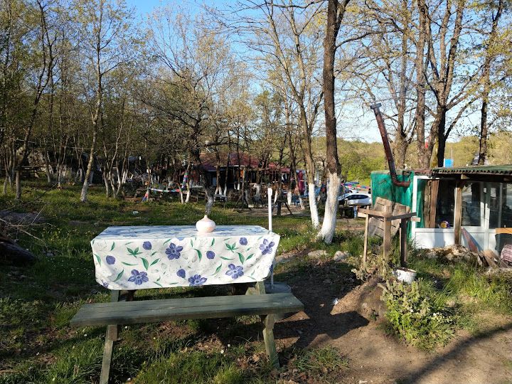 Fotoğraf 29