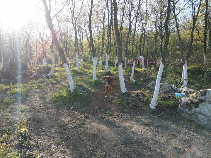 Fotoğraf 30