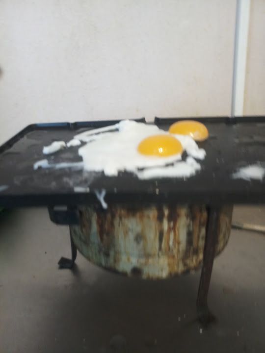 Fotoğraf 15