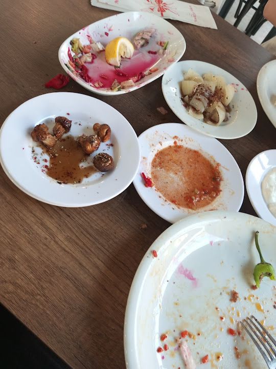 Fotoğraf 12