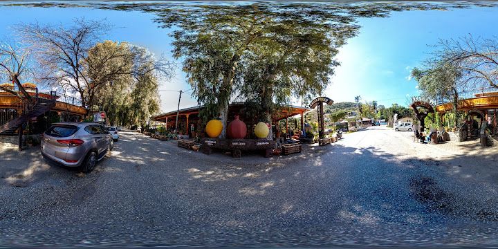 Fotoğraf 41