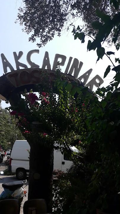 Fotoğraf 37