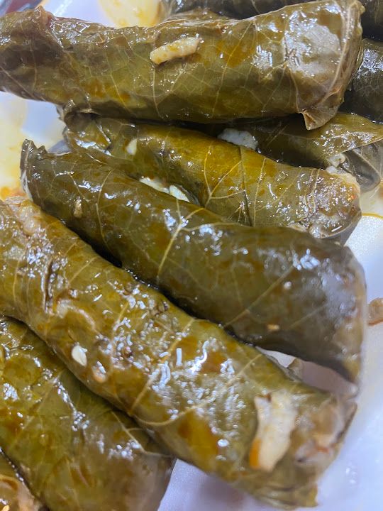 Fotoğraf 19