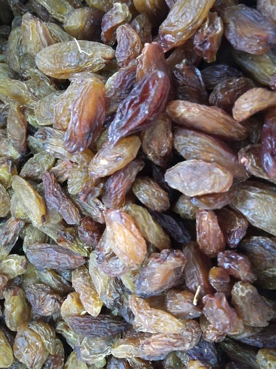 Fotoğraf 16