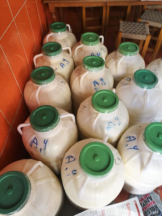 Fotoğraf 15
