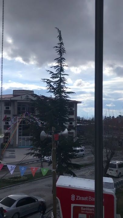 Fotoğraf 31