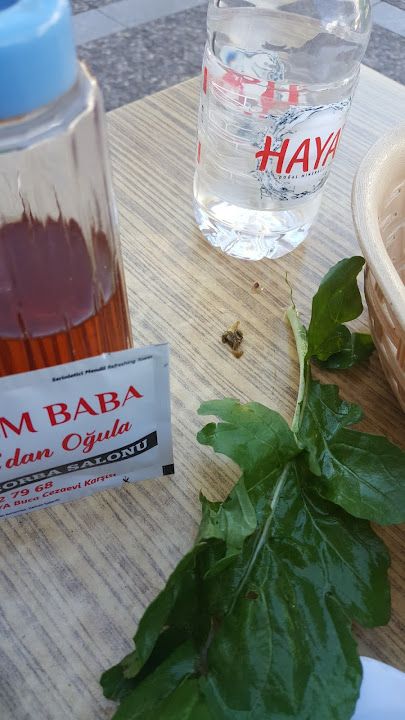 Fotoğraf 19