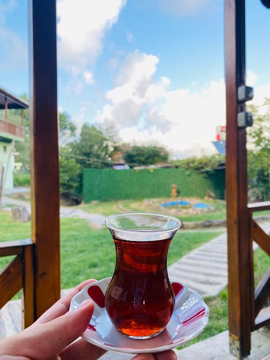 Fotoğraf 41