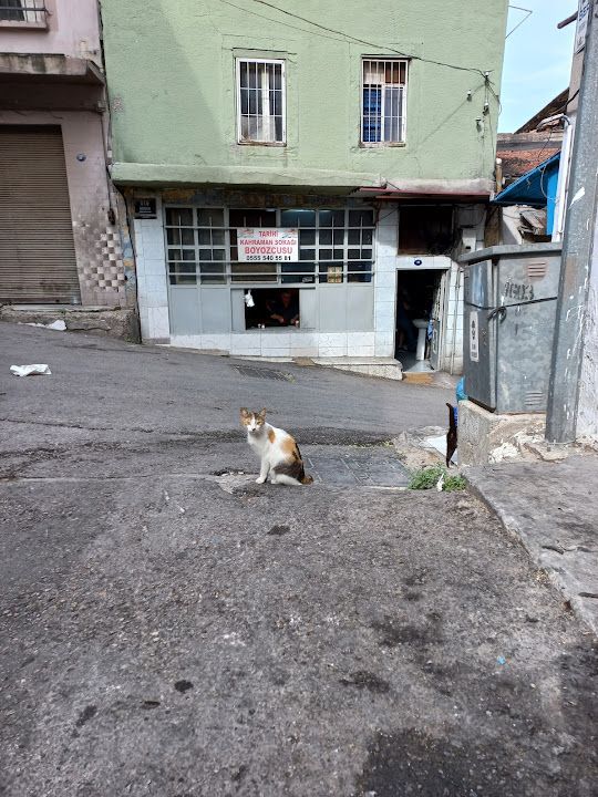 Yorum fotoğrafı 2