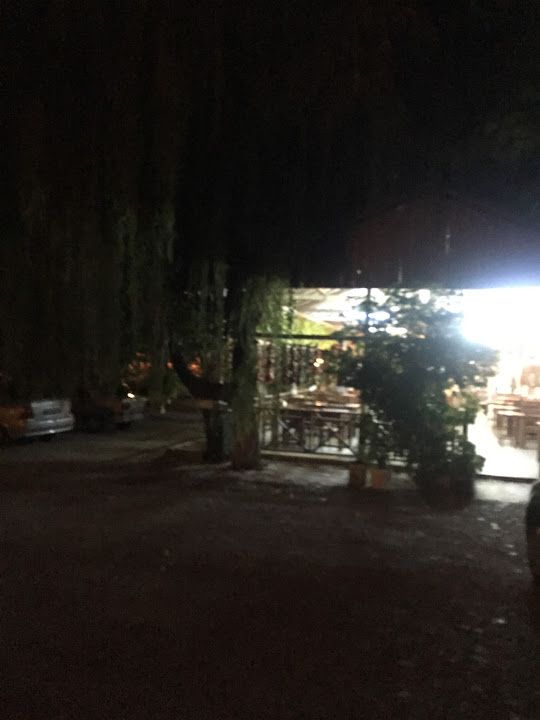 Fotoğraf 37