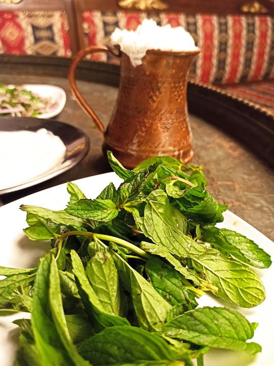 Fotoğraf 31