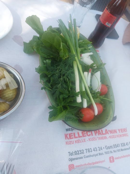 Fotoğraf 43