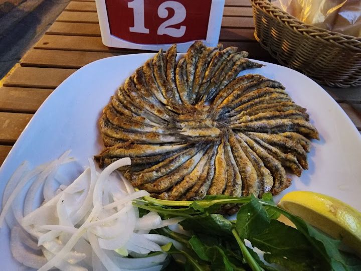 Fotoğraf 24
