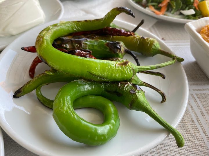 Fotoğraf 43