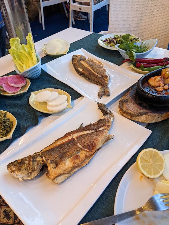 Fotoğraf 41