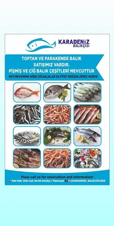 Fotoğraf 44