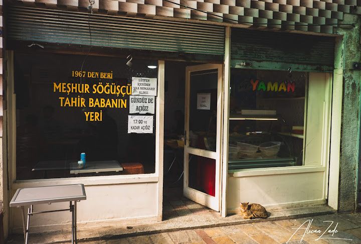 Yorum fotoğrafı 3