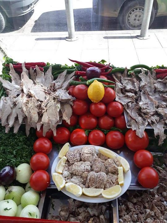 Fotoğraf 28