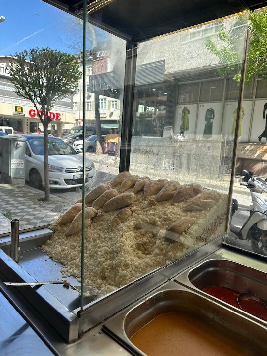 Fotoğraf 10