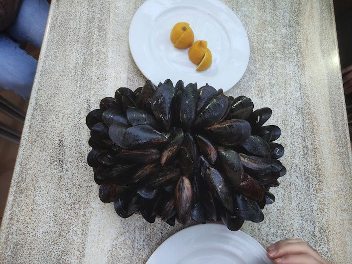 Fotoğraf 16
