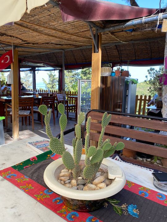 Yorum fotoğrafı 2