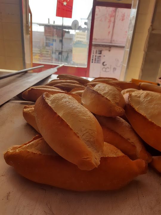 Fotoğraf 11