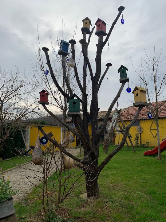 Fotoğraf 47