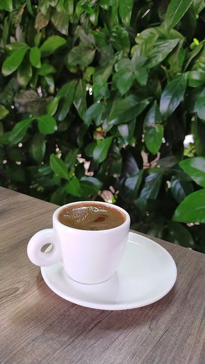 Fotoğraf 33