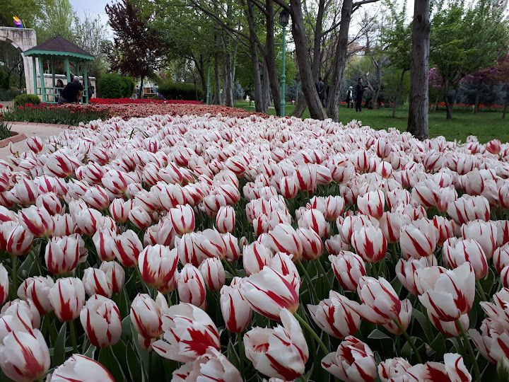 Fotoğraf 27