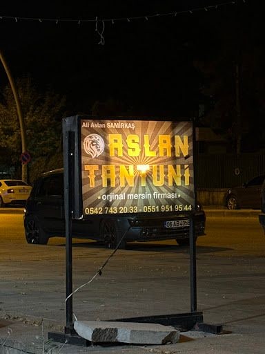 Yorum fotoğrafı 2