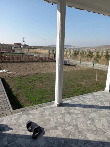 Yorum fotoğrafı 10