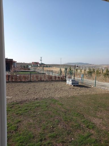 Yorum fotoğrafı 8
