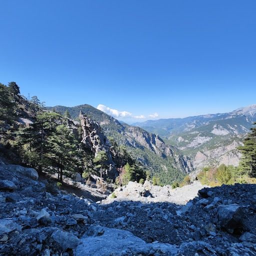 Yorum fotoğrafı 4