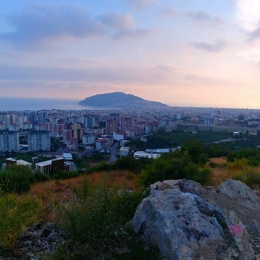 Yorum fotoğrafı 5