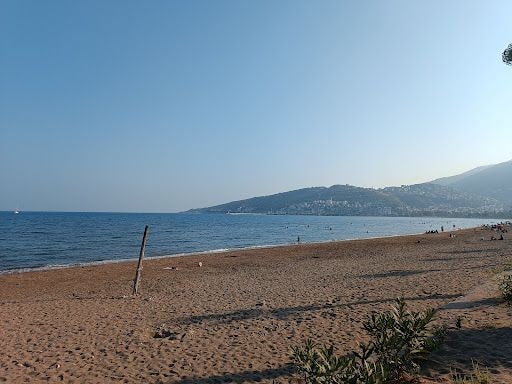Yorum fotoğrafı 4