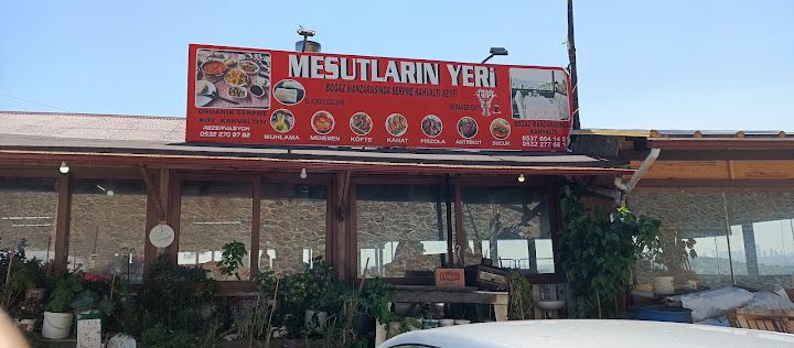 Fotoğraf 12