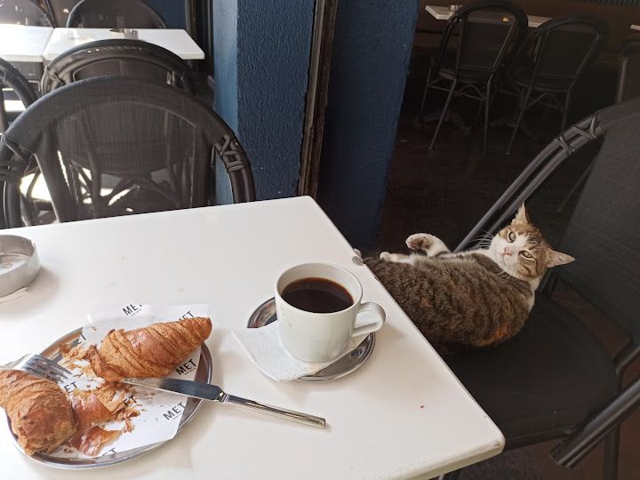 Fotoğraf 17