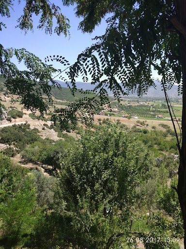 Fotoğraf 20