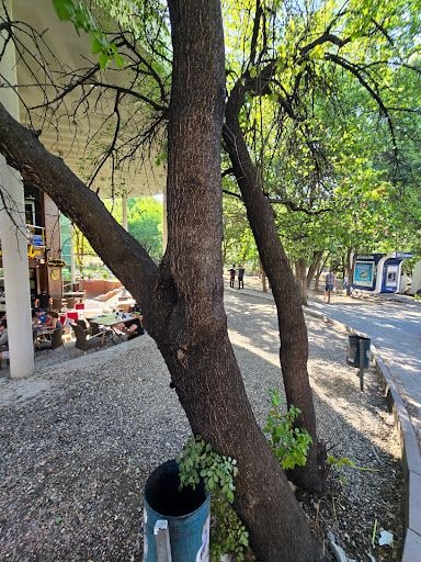 Yorum fotoğrafı 6