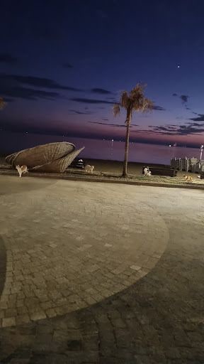 Fotoğraf 13