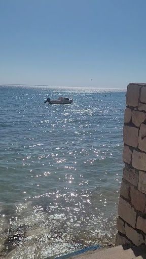 Fotoğraf 24